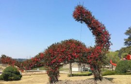 上海植物园开园首日，踏青游客络绎不绝