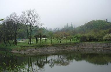 南京中山植物园