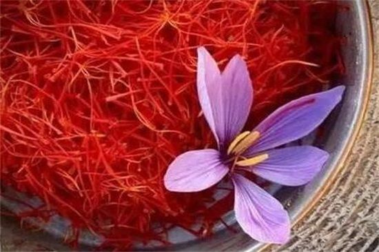 迪拜藏红花一般多少钱一斤？市场价格为50～10