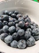 蓝莓品种有哪些？优质品种蓝莓图片