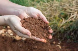 椰糠砖的正确使用方法，怎么配土
